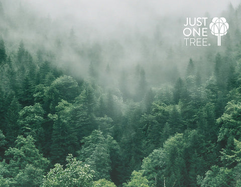 Every Order in April Plants one Tree promotion card image